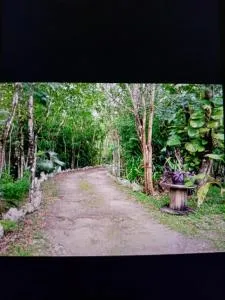 Villas Colibríes - Banco Playa