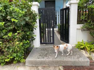 Pool Villa Hua Hin Nong Kae near Bluport just 4 mins drive 3 bed and ensuite bathroom less than 10 mins drive to the Hua Hin and Takiab beach