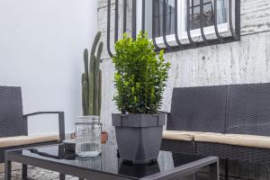 [Flaminio** *] - Loft con Giardino