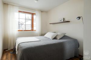 Holiday in Lapland - Alppilevi 1 B1