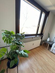 Apartment in Ljubljana center