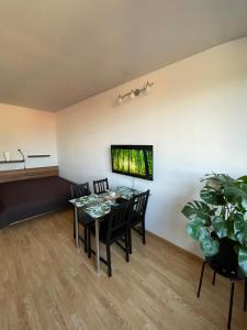 Apartment in Ljubljana center