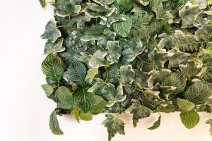 Su Trigu, primo piano img10