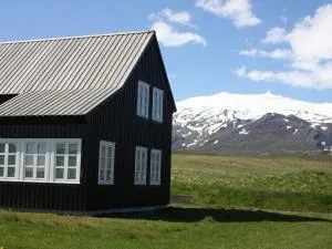 Cottage in malerischer Umgebung von Island - Arnarstapi