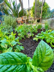 Villas Villa provencale Golfe St Tropez climatisee piscine chauffee, Spa, billard, Wifi haut debit pro : photos des chambres