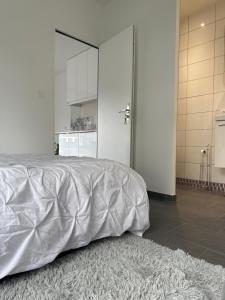 Sejours chez l'habitant Studio independant et cosy : Chambre Double avec Salle de Bains Privative
