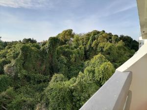 Beachfront Cozy Studio