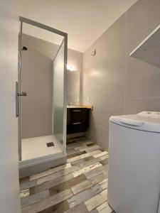 Appartements BEL APPARTEMENT CLIMATISE CENTRE VILLE T2 - 4 PERSONNES AVEC LOGGIA VUE SUR MER : photos des chambres