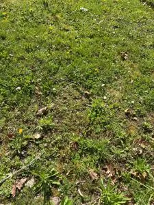 cette annonce ne fonctionne pas - La Chapelle-sur-Aveyron