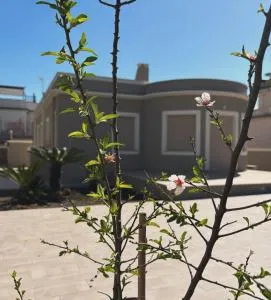 Alloggio Turistico Soffiasale - Anzio