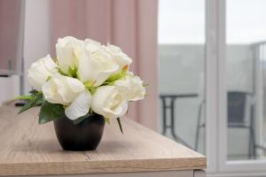 Cosy Apartment with Balcony in Rzeszów by Noclegi Renters