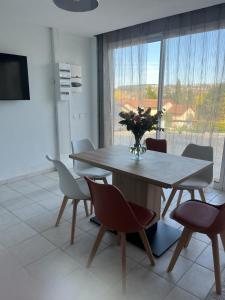 Appartements Elegant rez de jardin bord de Saone : photos des chambres