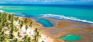 Garden Térreo 3 Quartos Piscinas Naturais