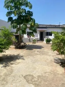 Studio Espiral - Guadalupe