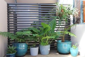 Margaret River Retreat on Fearn