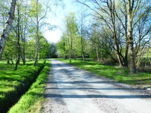 Maisons de vacances Chateau de BEL AIR : photos des chambres