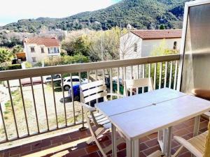 Appartement F2 avec balcon à Amélie-les-Bains - 2 couchages, animaux acceptés, bien équipé - FR-1-703-64