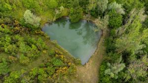 Agriturismo Castel dAlfiolo-Barcomonte