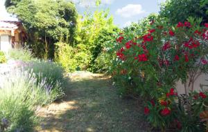 Gorgeous Home In Vias