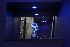 Appartements Private Room & Spa avec jacuzzi privatif : photos des chambres