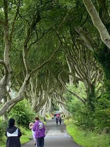 The Old Vicarage NI B&B