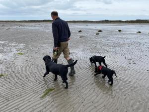 The Old Vicarage NI B&B