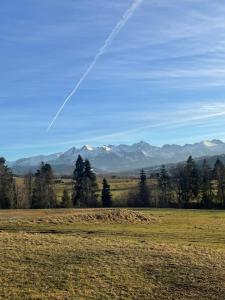 Ski House Czarna Góra- apartament 50m od stoku narciarskiego