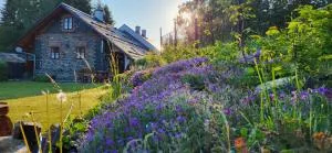 Chalupa u Anenské - Edrovice