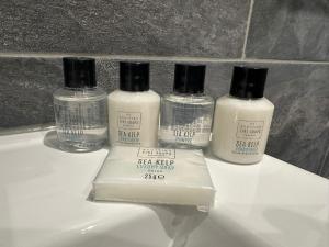 New Team I New Standards I Welcome to Adam Court Apartments I Refreshed I Revamped and Ready for You