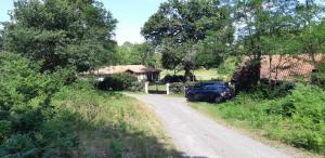 la paisible Landaise
