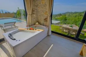 Pegasus stone house - Kayacık