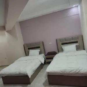 شقة على النيل - 开罗