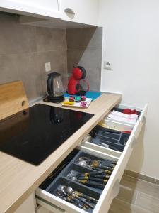 Appartements Saint Laurent de la Salanque Charmant T2 classe 3 etoiles : photos des chambres