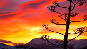 Agriturismo Bellavista