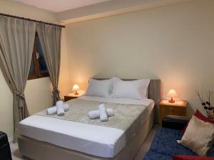 Dani Two Bedroom Home in Center of Tirana