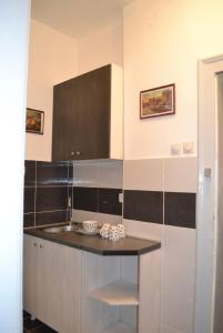 BelgradeCity center-Lekic apart 1