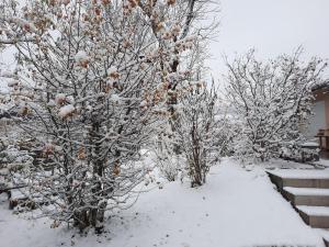 B&B / Chambres d'hotes Le jardin de Moun : photos des chambres