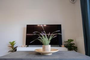 Classy and stylish flat near Pagrati region (D2)