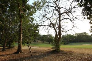 Coronado Golfside Home