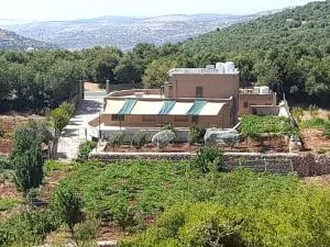 Wild strawberry Farm Ajloun مزرعة القيقب عجلون - Şakhrah