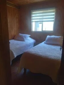 Los canelos - La Junta