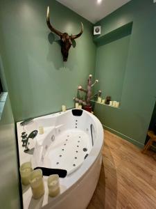 Appartements Le Nid d'Eliyah, suites avec jacuzzi 15min Disneyland Paris : photos des chambres