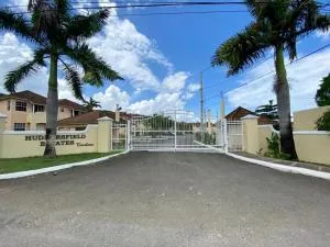 Paradise Heaven - Salt Gut Pen