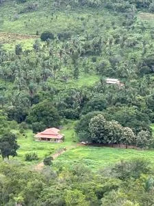 Casa Bambu - Lajeado