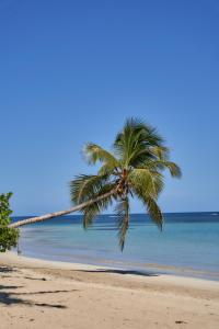 Empyrean Tropical Wellness Portillo