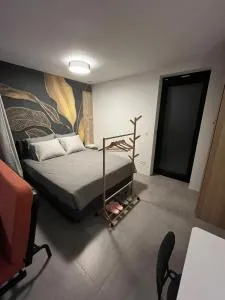 Starling - Oud-Turnhout