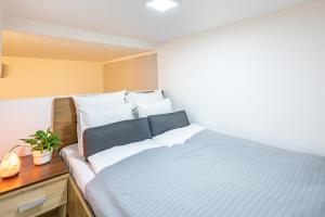 Central and homey apartment with good transport link