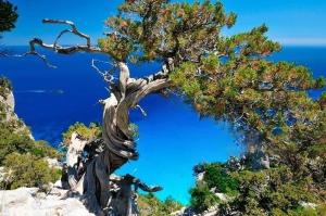 Il Carrubo & SPA img3