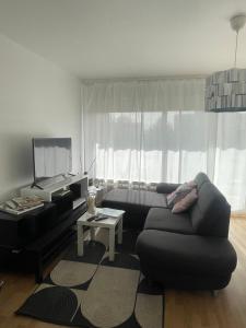 Appartements Bel Appartement near Bale Mulhouse Airport : photos des chambres