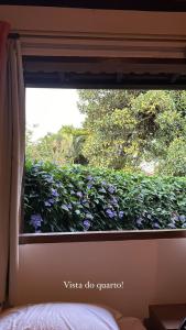 Amanduarte Brasília